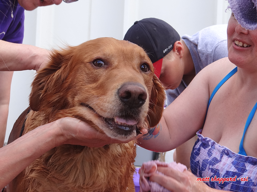 Prairie Paws Dog Wash - More Pixs by Matt at Facebook. Like & Share